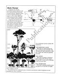 Puzzles & Practice: Subtraction (No Regrouping)