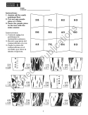 Puzzles & Practice: Addition and Subtraction with Regrouping