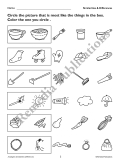 Primary Thinking Skills: Analogies, Similarities & Differences