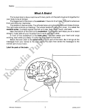 Labeling for Comprehension (Reading Level 4)