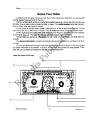 Labeling for Comprehension (Reading Level 5)