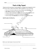 Labeling for Comprehension (Reading Level 2)