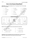 The Human Body: Skeletal & Muscular Systems