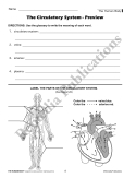 The Human Body: Digestive, Circulatory, Reproductive, & Excretory Systems