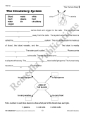 The Human Body: Digestive, Circulatory, Reproductive, & Excretory Systems