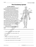 The Human Body: Digestive, Circulatory, Reproductive, & Excretory Systems