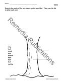 Science Vocabulary: Plants