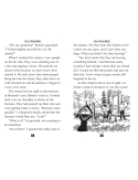 Teen Reader Storybook: Fire at Sunny Woods (Reading Level 3.3)