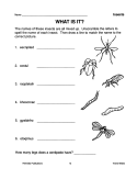 Insects: Skill-Based Activities for Grades 3-4 (eBook)