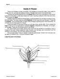 Plant Life Cycle: Labeling for Comprehension (Chapter Slice)