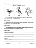 What Animal Am I? (eBook)