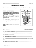 Science Vocabulary (Bundle) - Plants - Weather - Space - Human Body | Activities