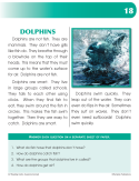 Reading About Dolphins (Chapter Slice)