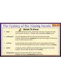 12 Mini Mysteries & Scaffolded Reading Activities (Cases 1-12) Google Set