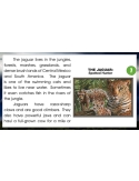 High Interest Reading / Low Vocab MAGNIFICENT MAMMALS GOOGLE CLASSROOM SLIDES