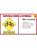 191 Google Slides: SURVIVAL SIGNS, SYMBOLS: SELF CHECKING FLASH CARDS Special Ed