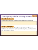 Mini Mysteries & Scaffolded Reading Activities (Cases 1 -3) Google Slides