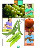 Fruits & Vegetables: Beginning Sign Language Series