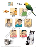 Animal Signs: Sign Language Chart