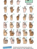 Essential Sign Language: Conversation Card | ASL | Handy Quick Resource