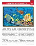 Underwater Worlds: Ocean Life | Paired Fiction & Nonfiction Stories | Activities