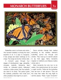 Paired Texts: Fiction & Nonfiction: Monarch Butterflies - Reading Comprehension